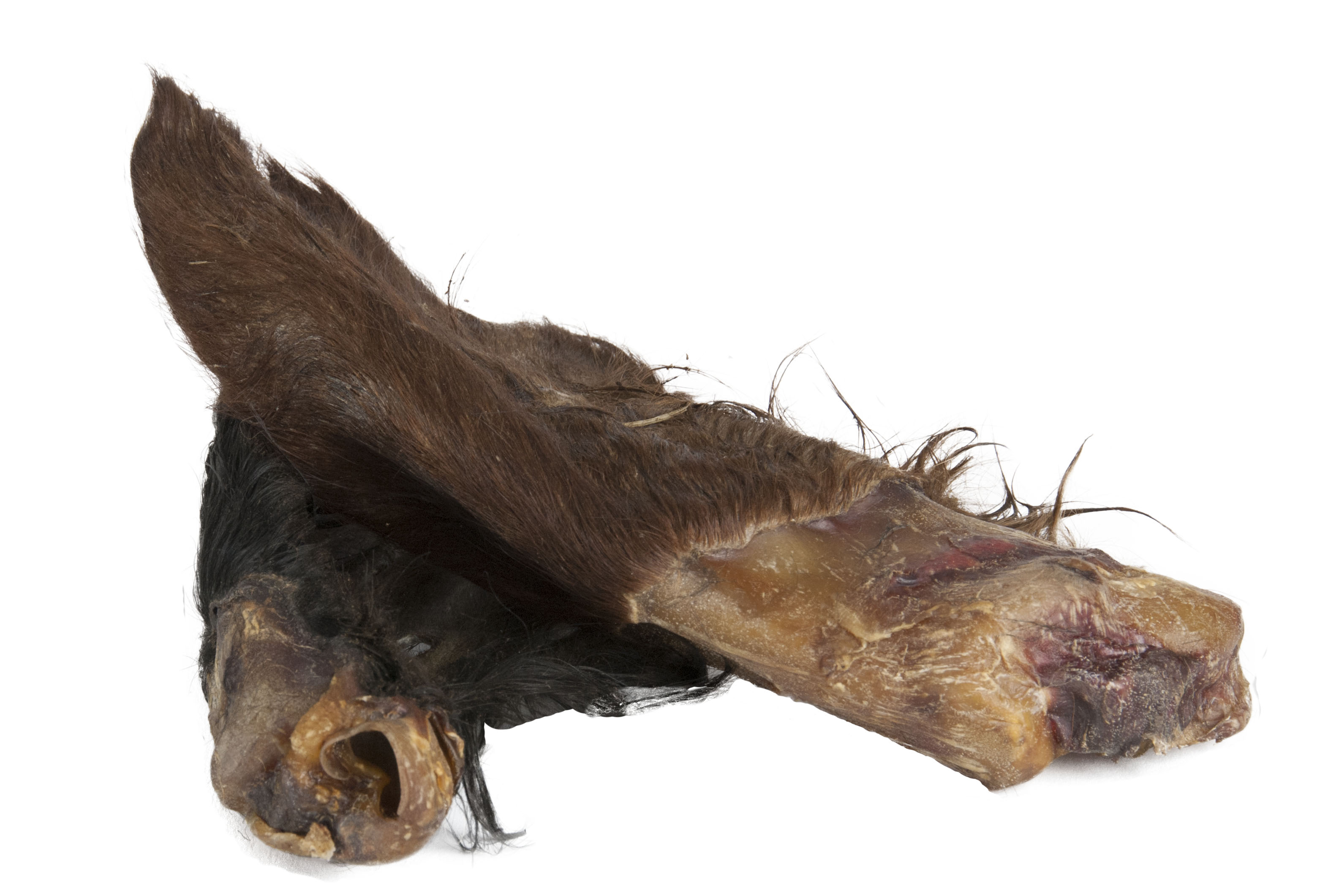 01619_rinderohren_mit_fell_p Rinderohren mit Fell