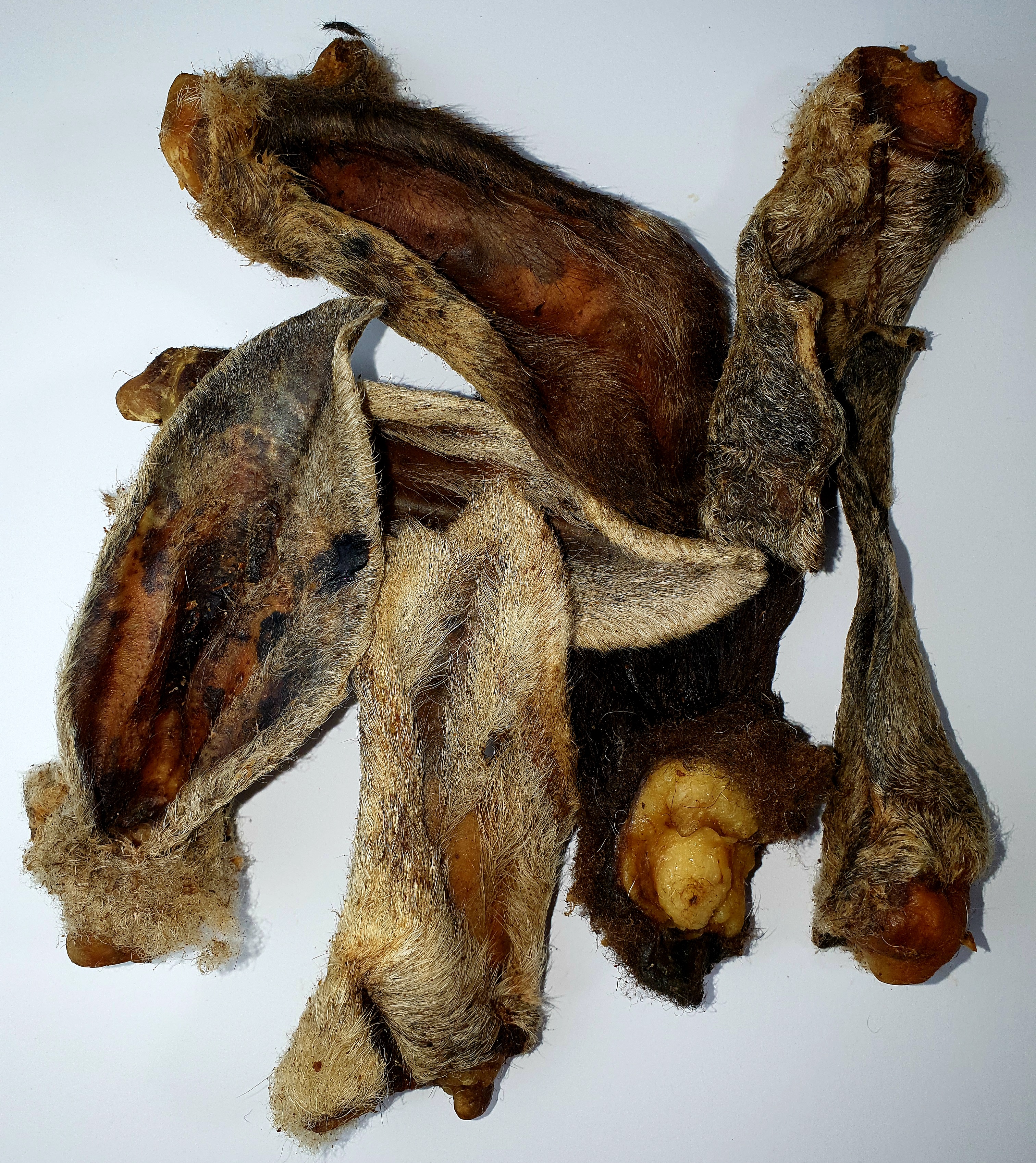 Lammohren Lammohren mit Fell 150 Gramm