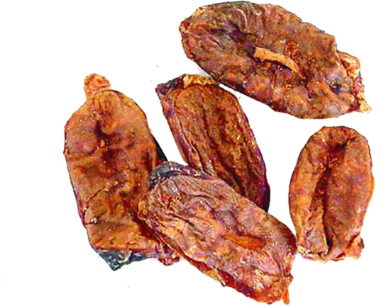 09908 Bullenhoden 200g