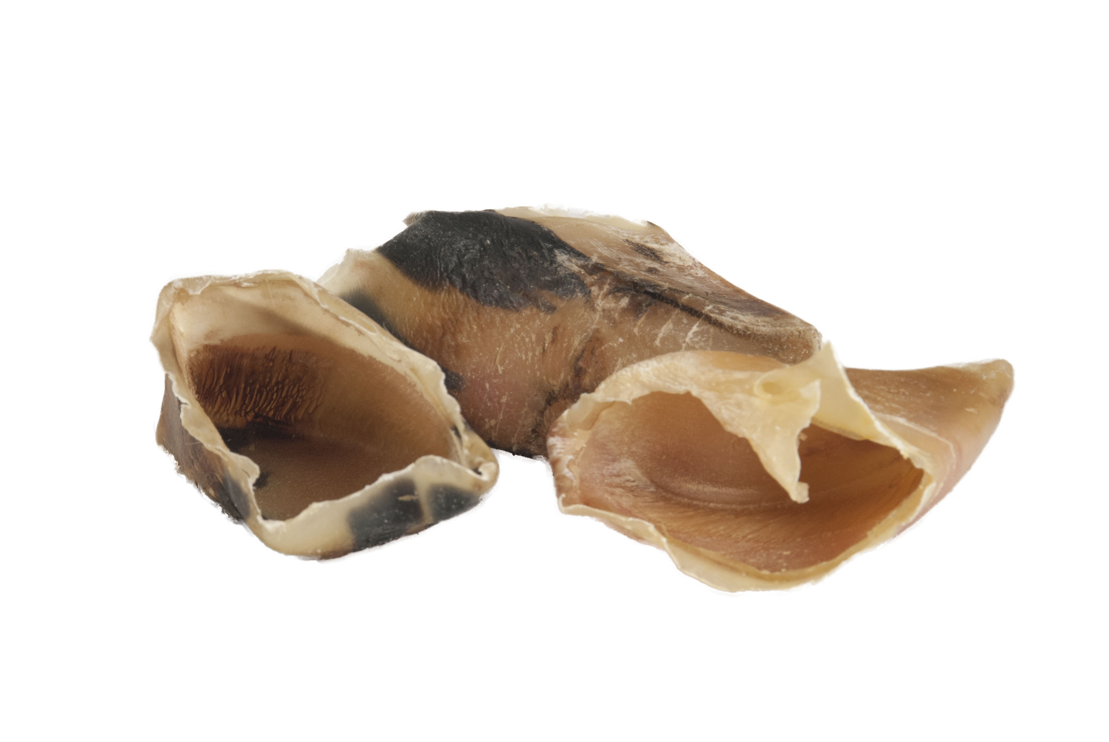 08716-kauhufe-ungefuellt Rinderhufe, ungefüllt