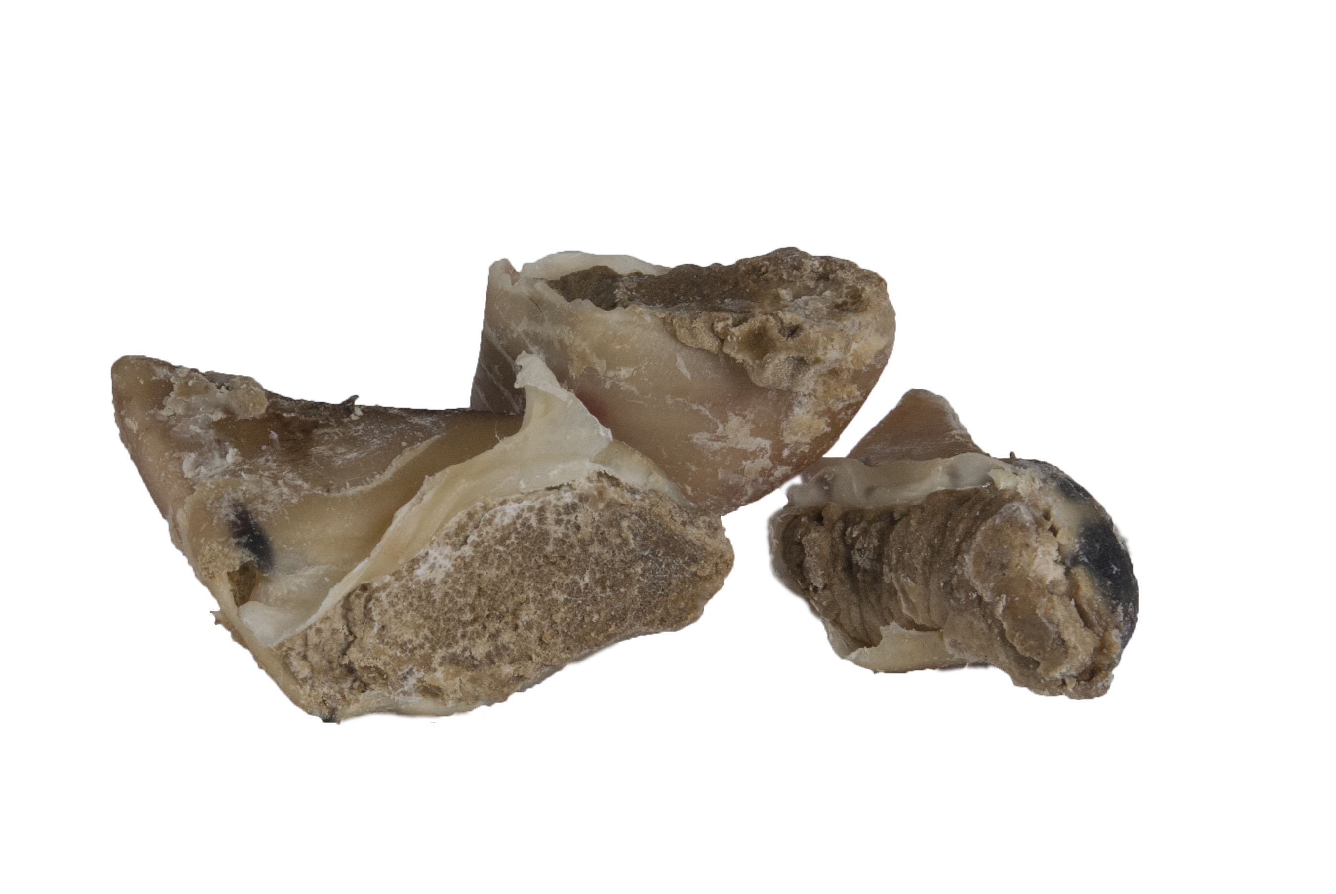 08817-kauhufe-pate_p Rinderhufe, gefüllt mit Paté